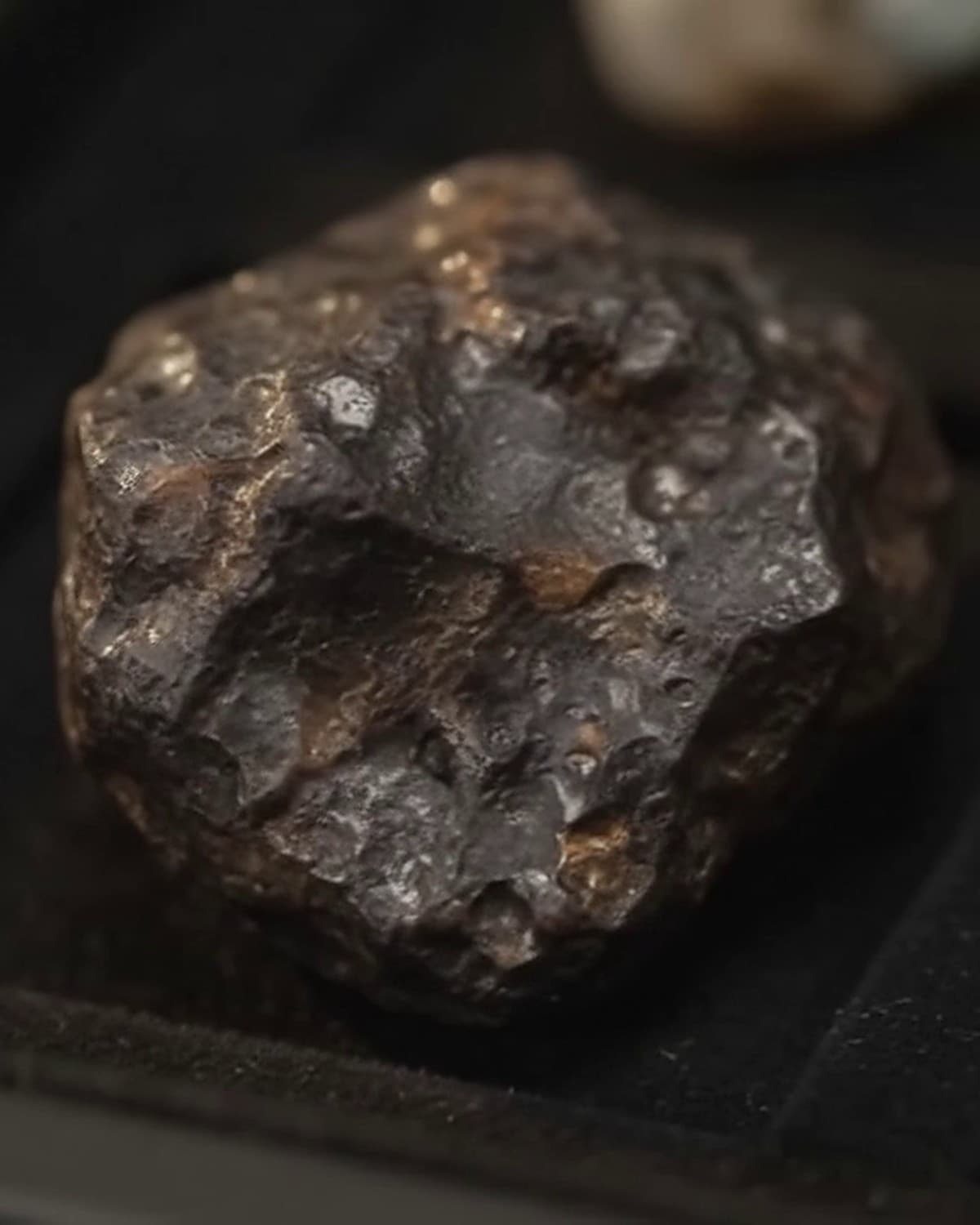 Esemplare di meteorite scuro e bucherellato in un cofanetto campionario, fotografia macro